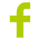 facebook icon vert